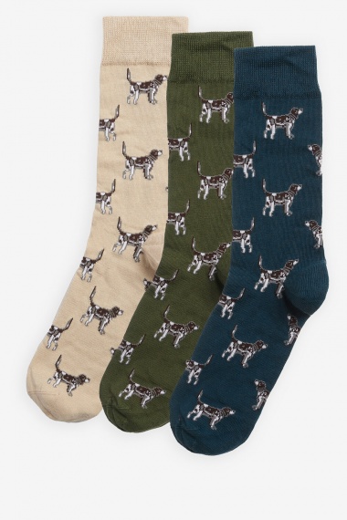 Set Calcetines Pointer Dog