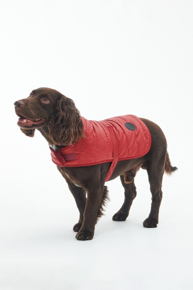 Abrigo Baffle Quilted Dog