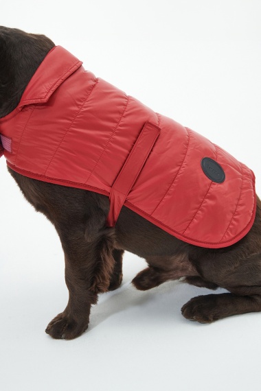 Abrigo Baffle Quilted Dog