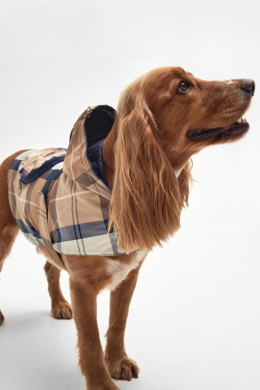 Abrigo Packable Tartan Dog